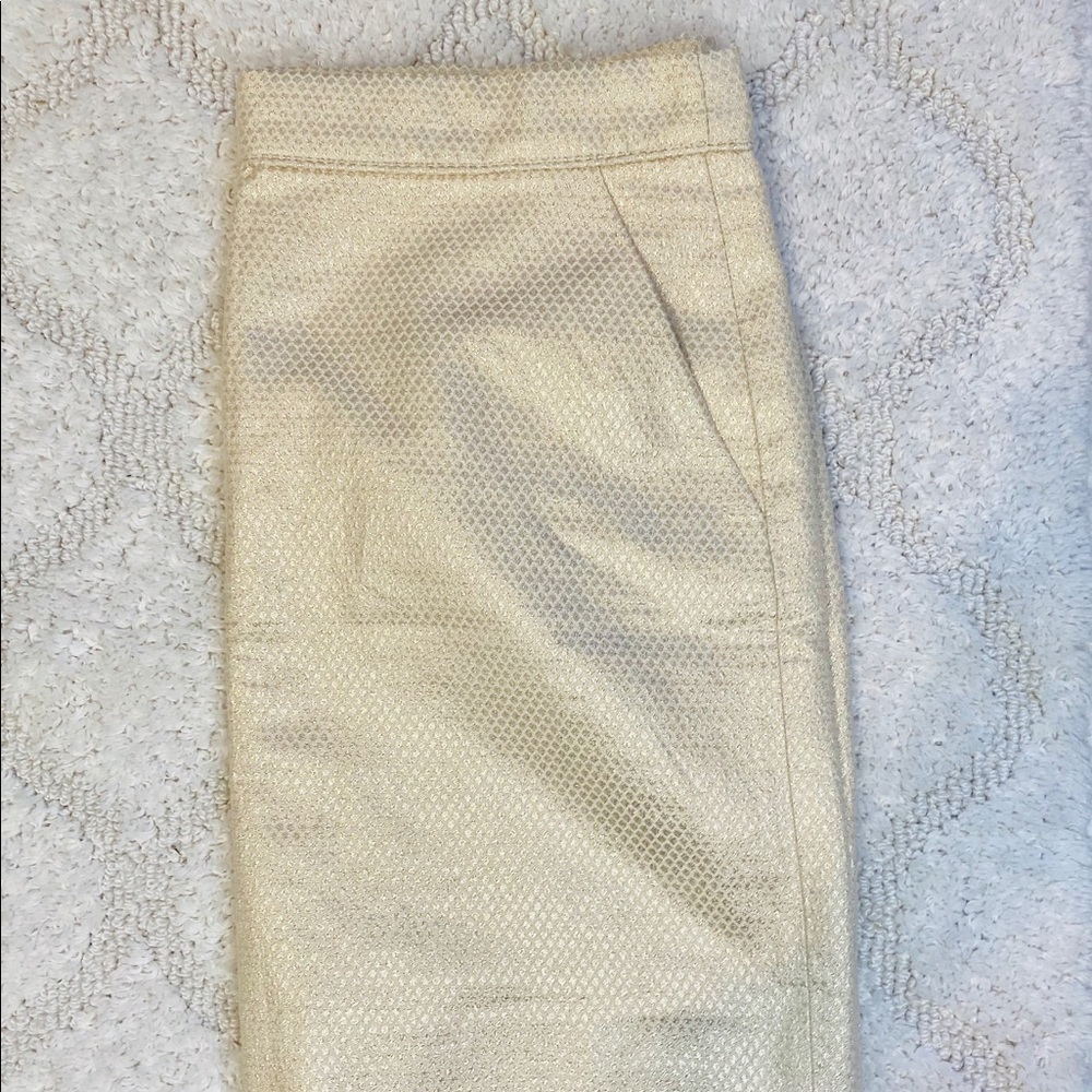EUC JCrew Mini skirt